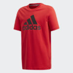 T-Shirt Pour Garçon Must Haves Badge of Sport