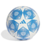 Ballon de football Adidas UEFA Champions League Training 24/25