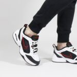 Chaussure Nike Air Monarch IV