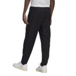 Pantalon ADIDAS de présentation Entrada 22 NOIR – Image 3