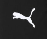 Pant a Court Pour Hommes Puma Woven Pant – Image 7
