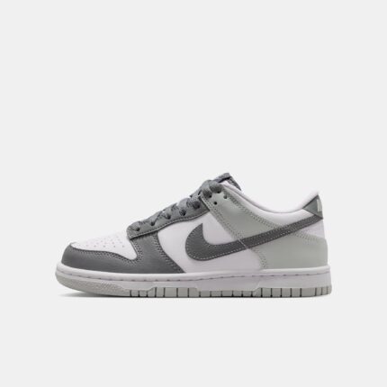 Image de Basket Nike Dunk Low DQ8423-003-1 - Original Algérie Master Sport DZ