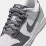 Image de Basket Nike Dunk Low DQ8423-003-1 - Original Algérie Master Sport DZ